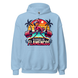 Oleadas de flamencos Hoodie