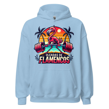 Oleadas de flamencos Hoodie