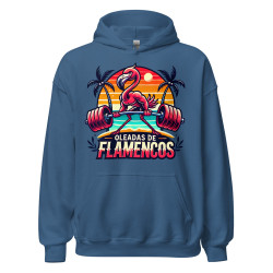 Oleadas de flamencos Hoodie