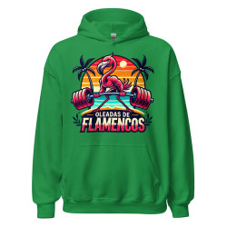 Oleadas de flamencos Hoodie