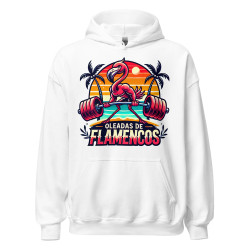 Oleadas de flamencos Hoodie