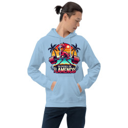Oleadas de flamencos Hoodie