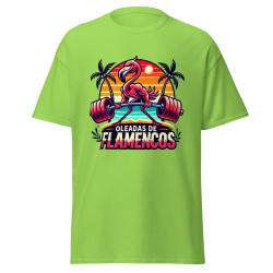 Oleadas de flamencos
